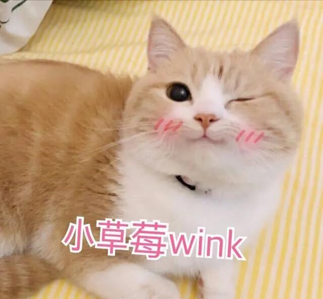 毕业季|认真说再见 愿此去前程似锦,再相逢依旧如故